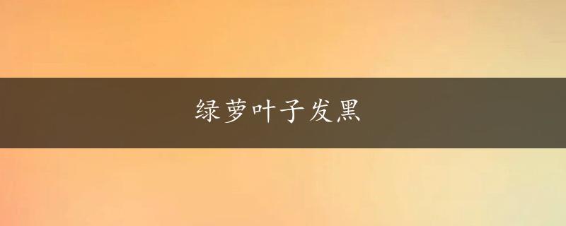 绿萝叶子发黑