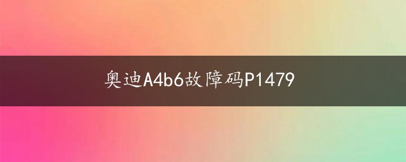 奥迪A4b6故障码P1479