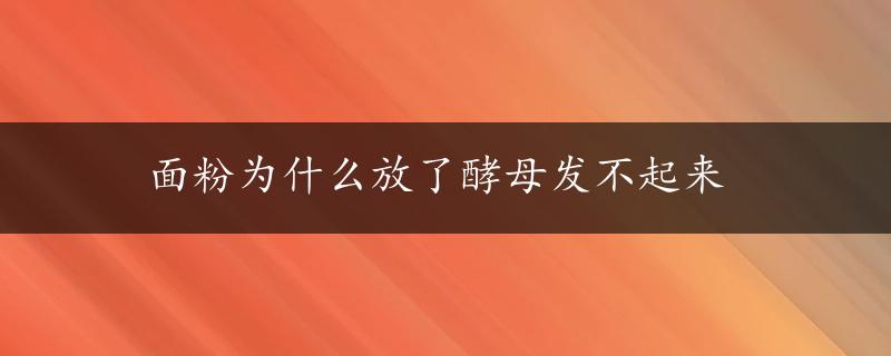 面粉为什么放了酵母发不起来