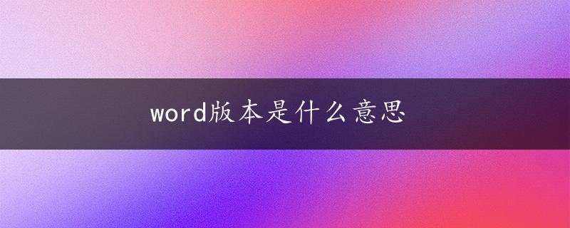 word版本是什么意思