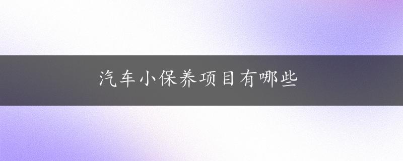 汽车小保养项目有哪些