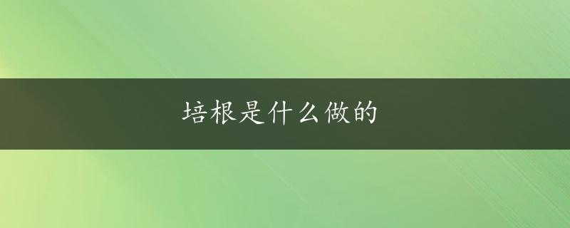 培根是什么做的