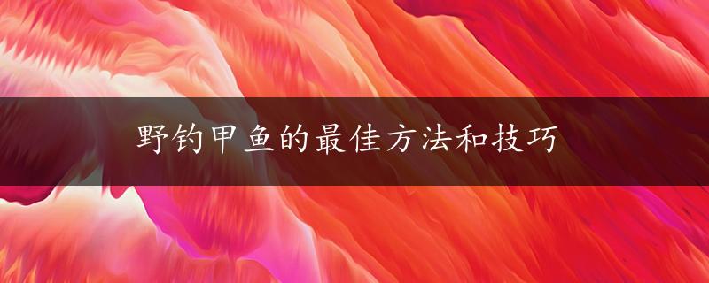 野钓甲鱼的最佳方法和技巧