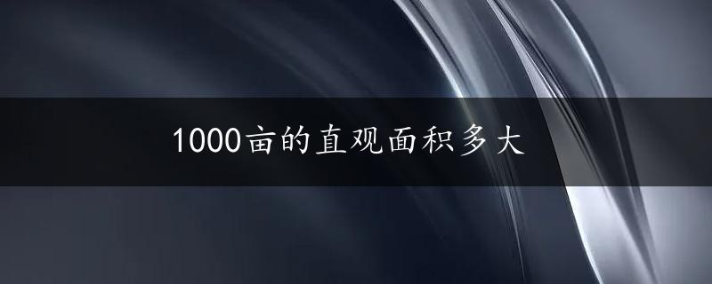 1000亩的直观面积多大