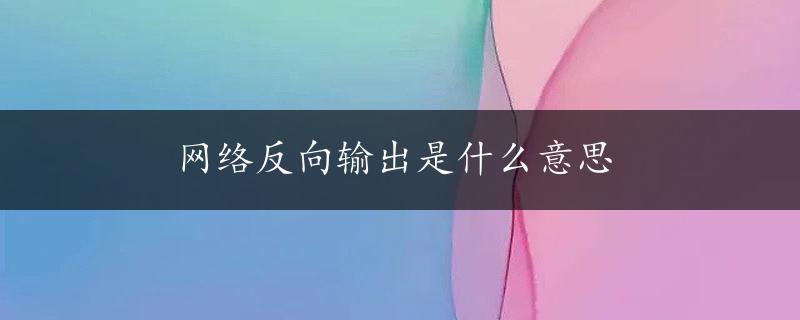 网络反向输出是什么意思