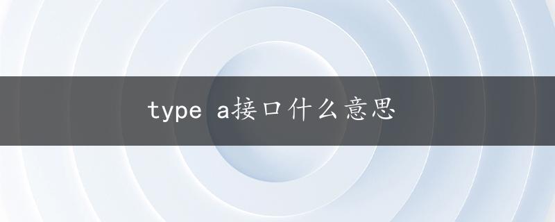 type a接口什么意思