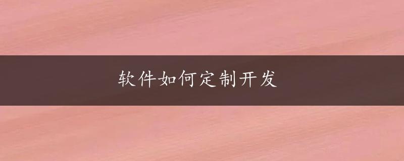 软件如何定制开发