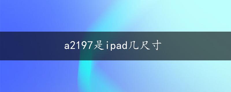 a2197是ipad几尺寸