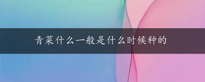 青菜什么一般是什么时候种的