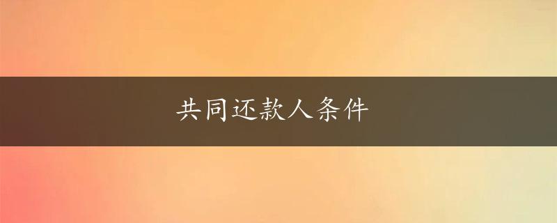 共同还款人条件