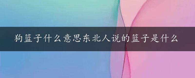 狗篮子什么意思东北人说的篮子是什么