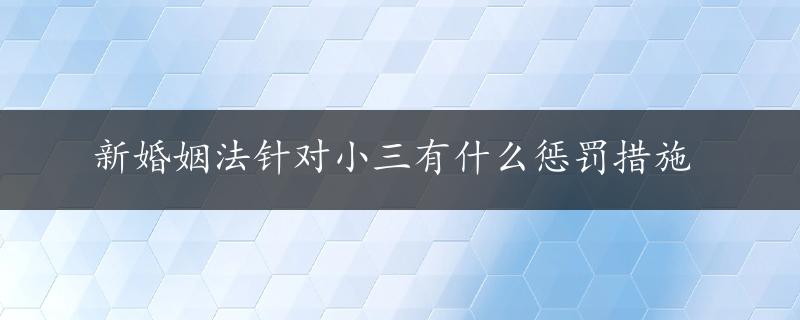 新婚姻法针对小三有什么惩罚措施