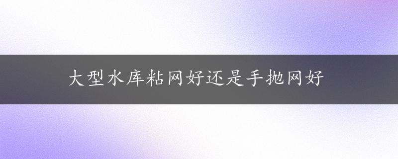 大型水库粘网好还是手抛网好