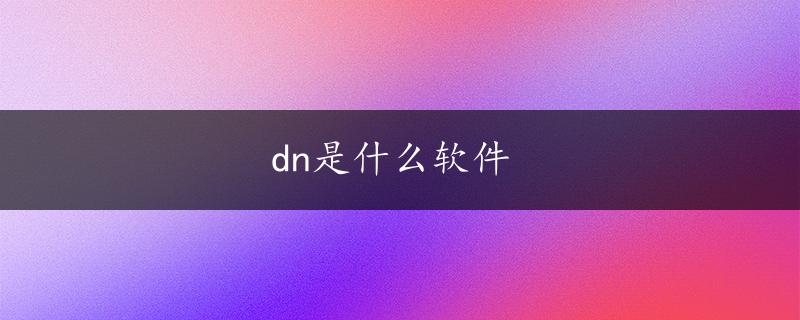 dn是什么软件