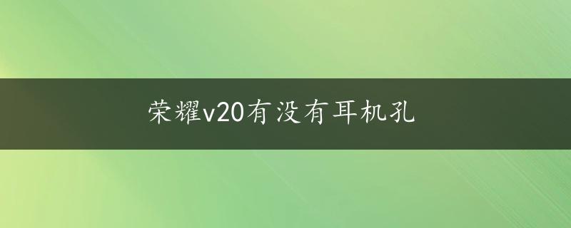 荣耀v20有没有耳机孔