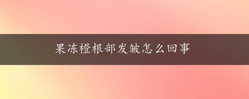 果冻橙根部发皱怎么回事