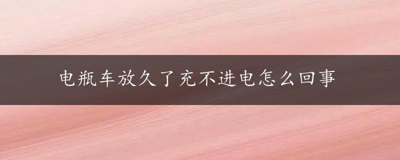 电瓶车放久了充不进电怎么回事