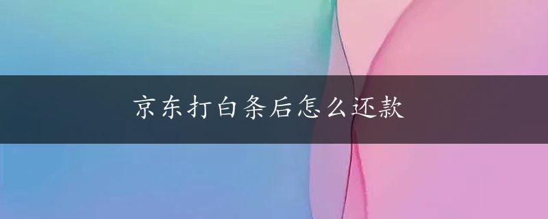 京东打白条后怎么还款