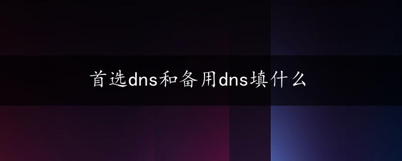 首选dns和备用dns填什么