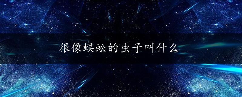 很像蜈蚣的虫子叫什么