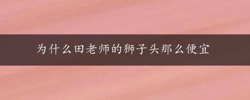 为什么田老师的狮子头那么便宜