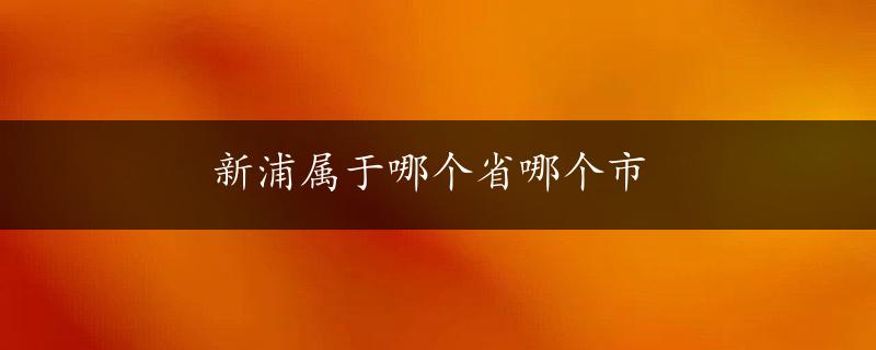 新浦属于哪个省哪个市