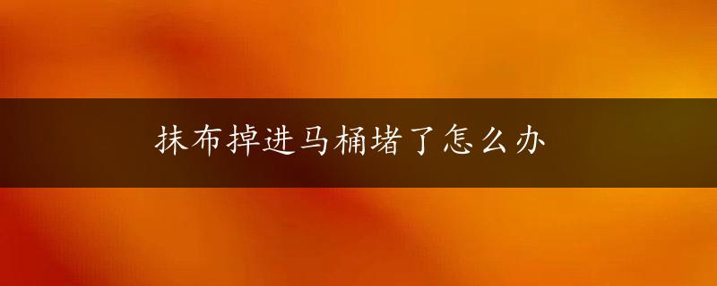 抹布掉进马桶堵了怎么办