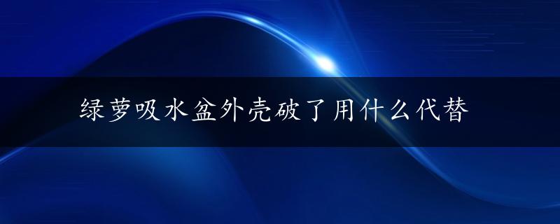 绿萝吸水盆外壳破了用什么代替