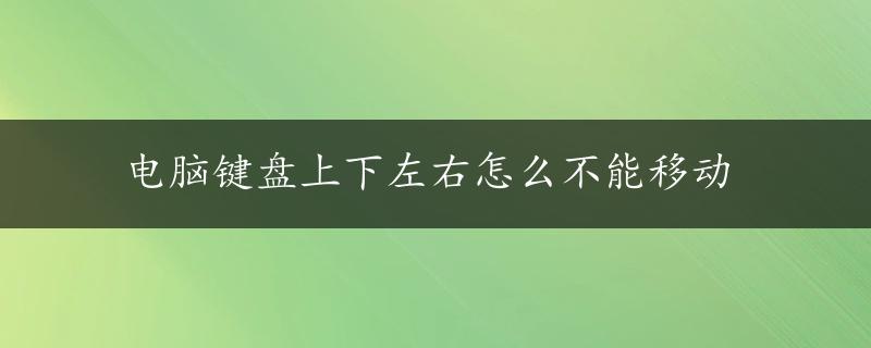 电脑键盘上下左右怎么不能移动