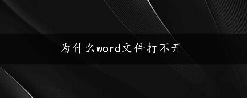 为什么word文件打不开