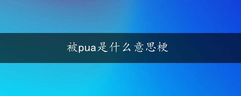 被pua是什么意思梗