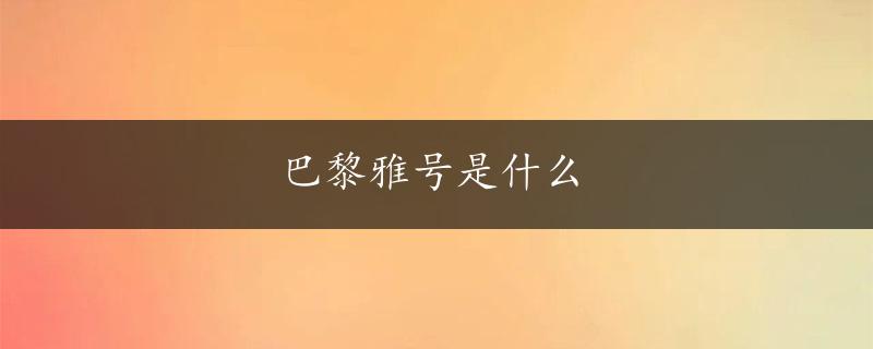 巴黎雅号是什么