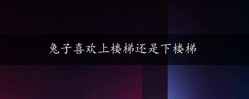 兔子喜欢上楼梯还是下楼梯