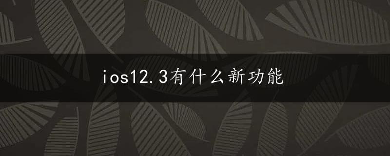 ios12.3有什么新功能