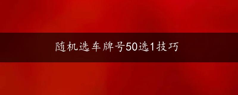 随机选车牌号50选1技巧