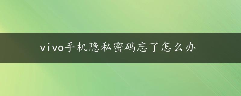 vivo手机隐私密码忘了怎么办