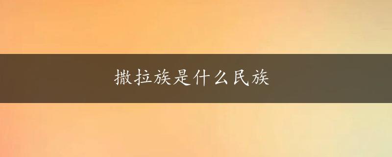 撒拉族是什么民族