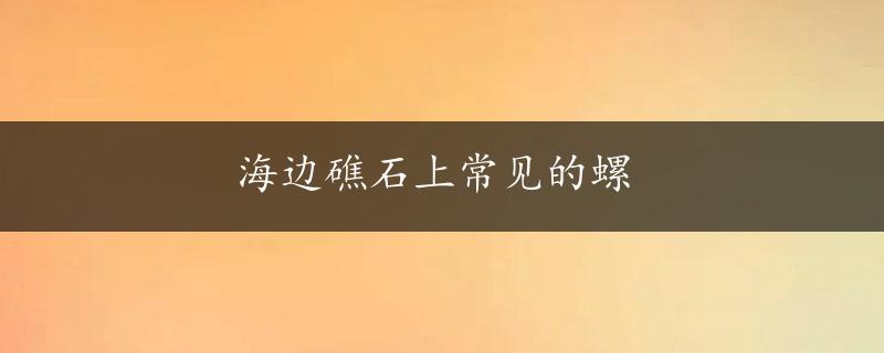 海边礁石上常见的螺