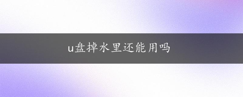 u盘掉水里还能用吗