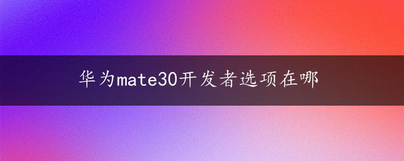 华为mate30开发者选项在哪