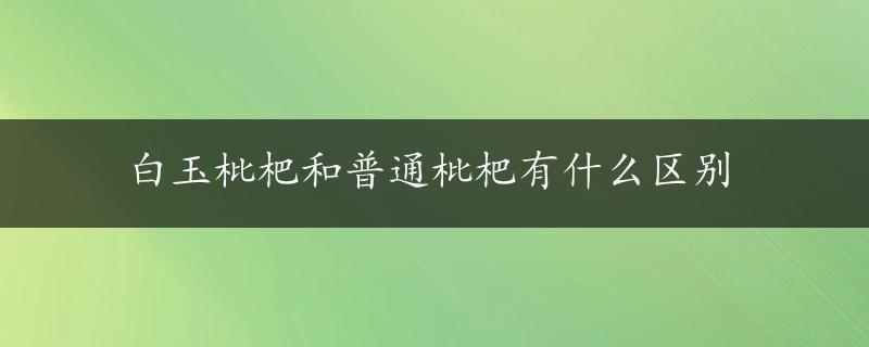 白玉枇杷和普通枇杷有什么区别