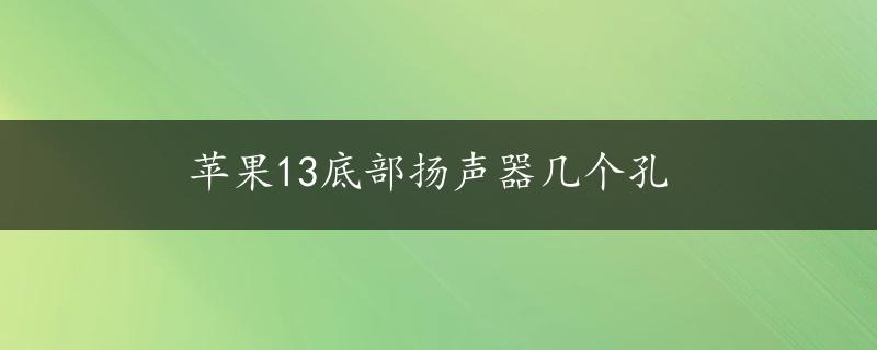 苹果13底部扬声器几个孔