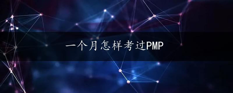 一个月怎样考过PMP