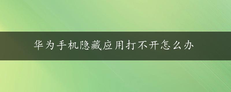 华为手机隐藏应用打不开怎么办