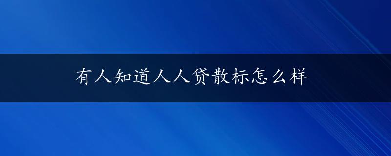 有人知道人人贷散标怎么样