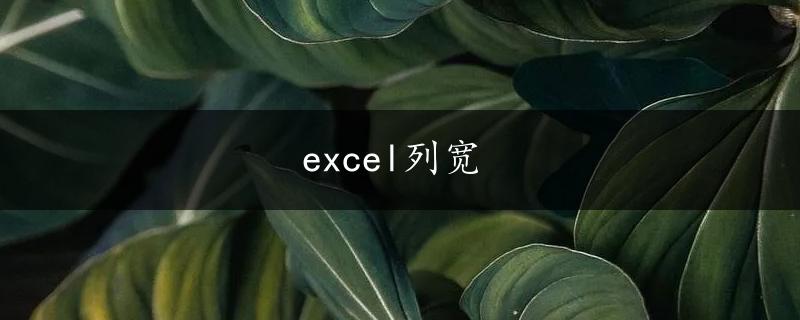 excel列宽