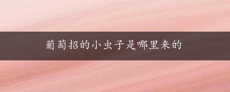 葡萄招的小虫子是哪里来的