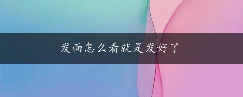 发面怎么看就是发好了