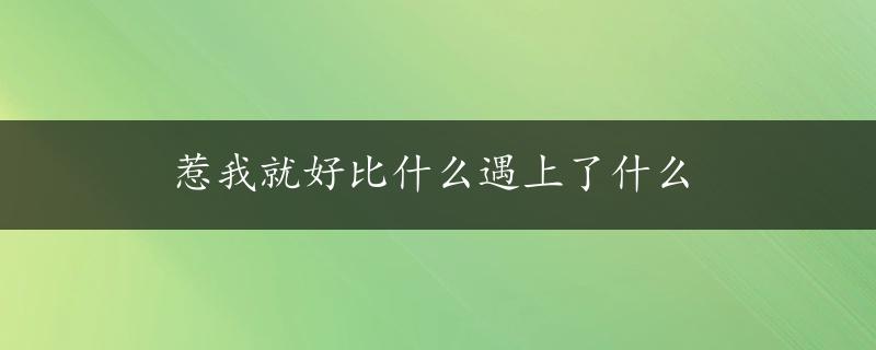 惹我就好比什么遇上了什么