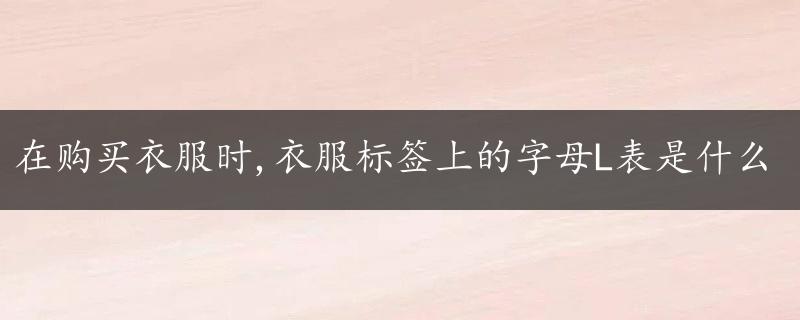 在购买衣服时,衣服标签上的字母L表是什么